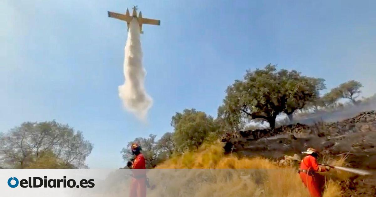 Se confirma que el incendio de Aliseda en Cáceres fue provocado por intereses económicos vinculados a la caza