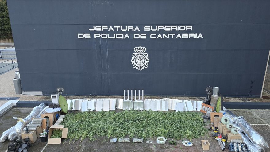 Demantelada en Castañeda una plantación de marihuana indoor con casi 300 plantas