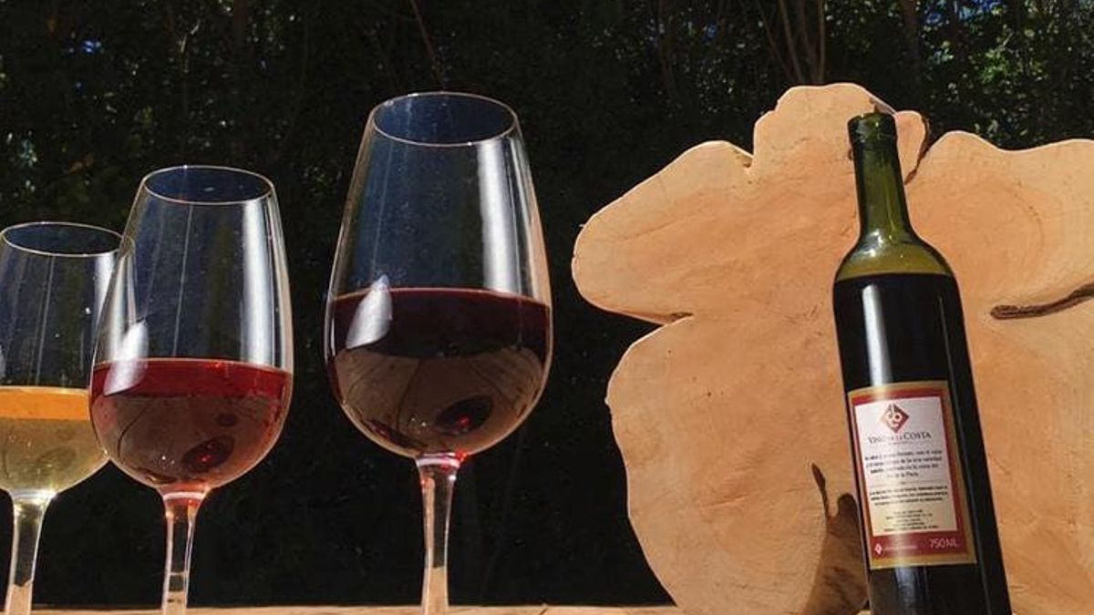 Fiesta del Vino de la Costa