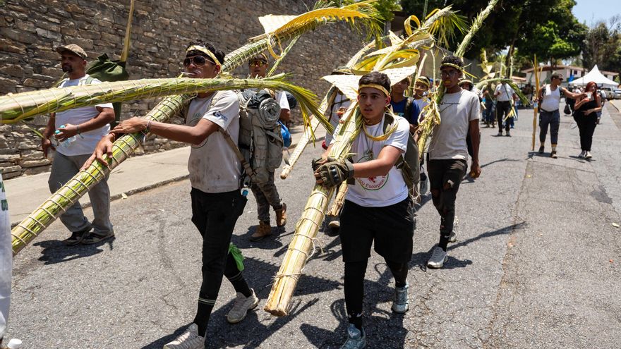 Cientos de personas bajan del principal cerro de Caracas con la palma del Domingo de Ramos