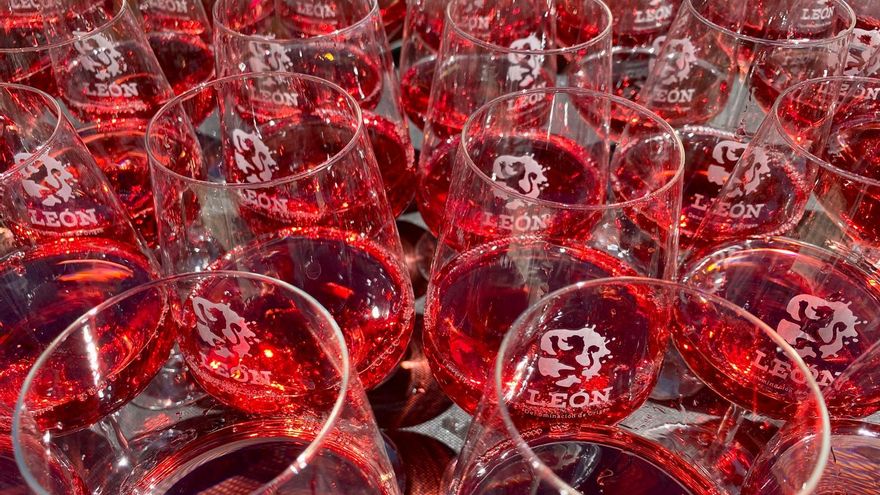 DO León: 18 años y 19 vendimias defendiendo sus variedades autóctonas, Prieto Picudo y Albarín