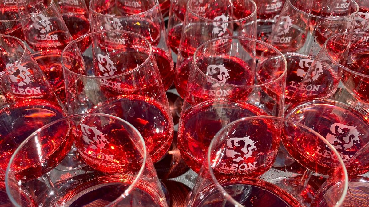 DO León: 18 años y 19 vendimias defendiendo sus variedades autóctonas, Prieto Picudo y Albarín