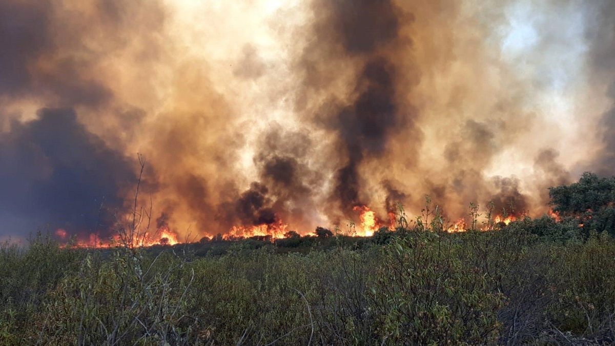 Incendio forestal en el puerto del Calatraveño, término de Alcaracejos, en la provincia cordobesa, en agosto de 2021