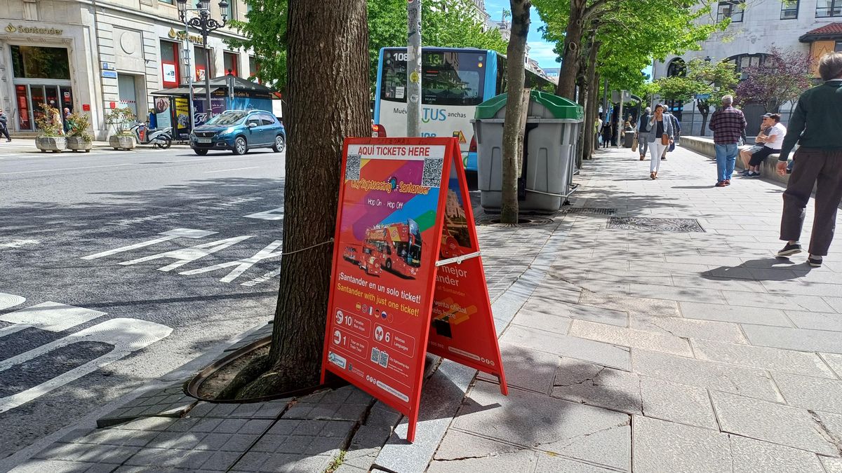 Cartel atado al tronco del árbol frente a la Catedral que será derribado porque ha levantado el suelo con sus raíces.