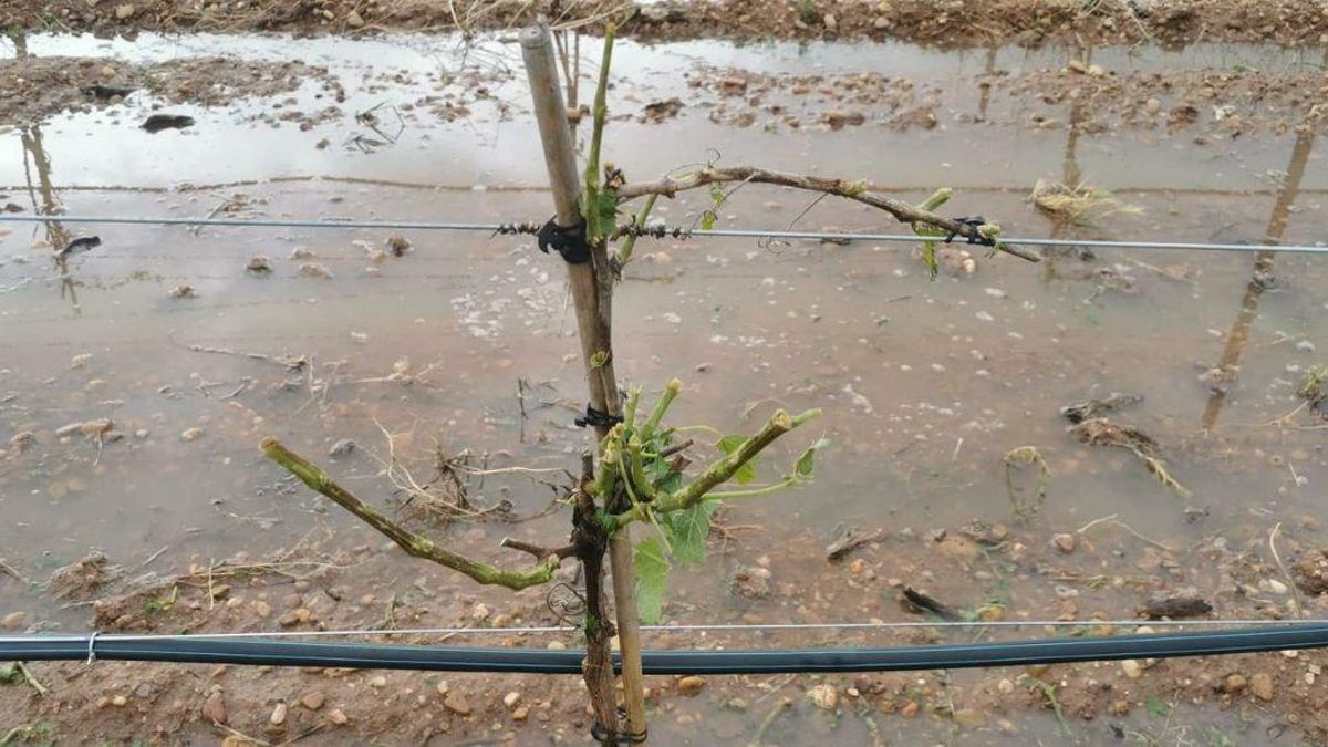 Granizo en Casasimarro