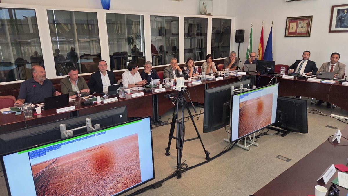 Los miembros del Consejo de Participación, en plena reunión.