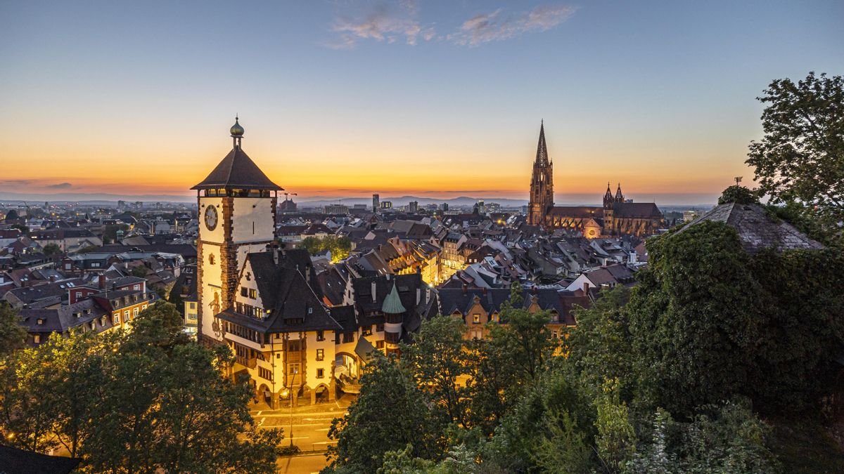 Freiburger FWTM, Freiburg Motive