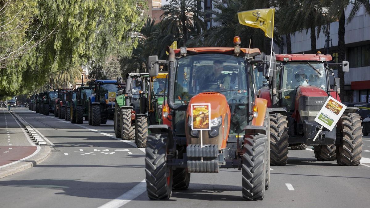 Cerca de 200 tractores toman las calles de Valencia en protesta por el acuerdo UE-Mercosur.