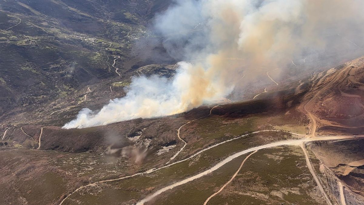 Efectivos trabajan en la extinción de un incendio forestal desatado en Cabrera este viernes
