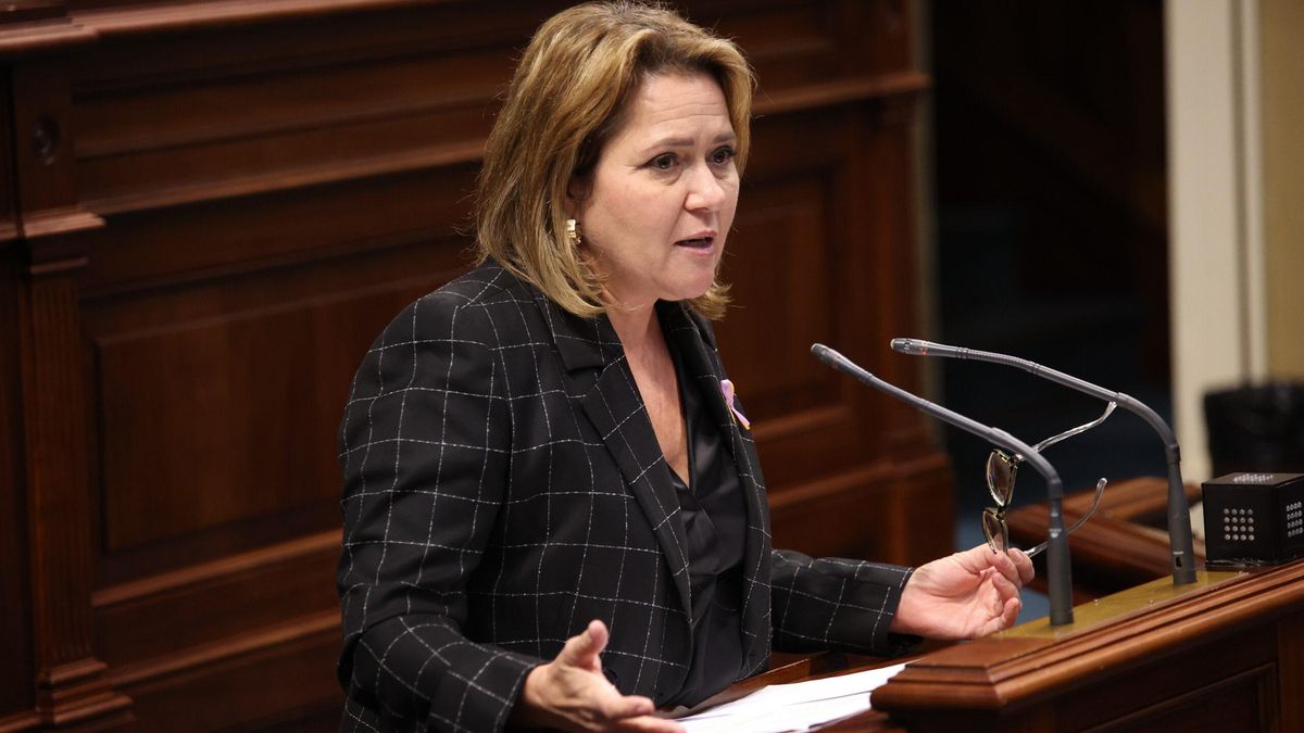 Alicia Vanoostende, diputada del PSOE por La Palma en el Parlamento de Canarias.