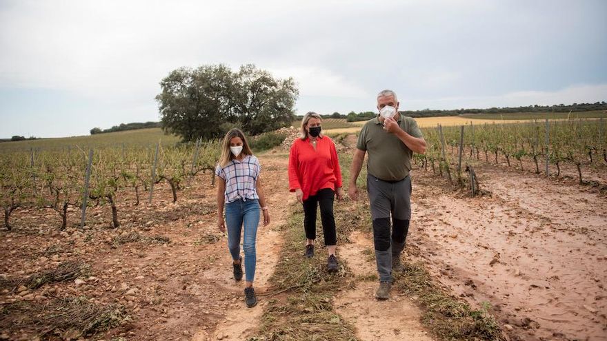 Hita subraya la importancia de contratar seguro agrario
