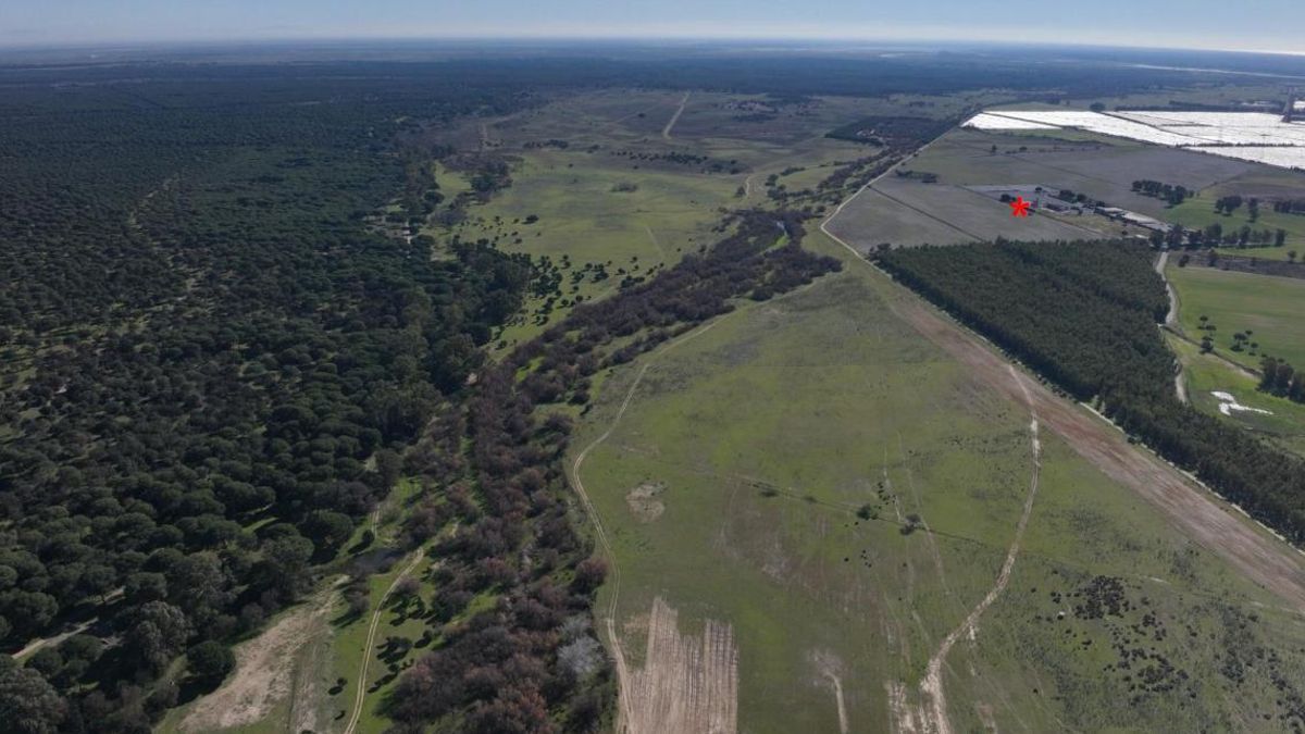 Llanura de inundación del arroyo junto al almacén de gas, ubicado con el asterisco rojo.