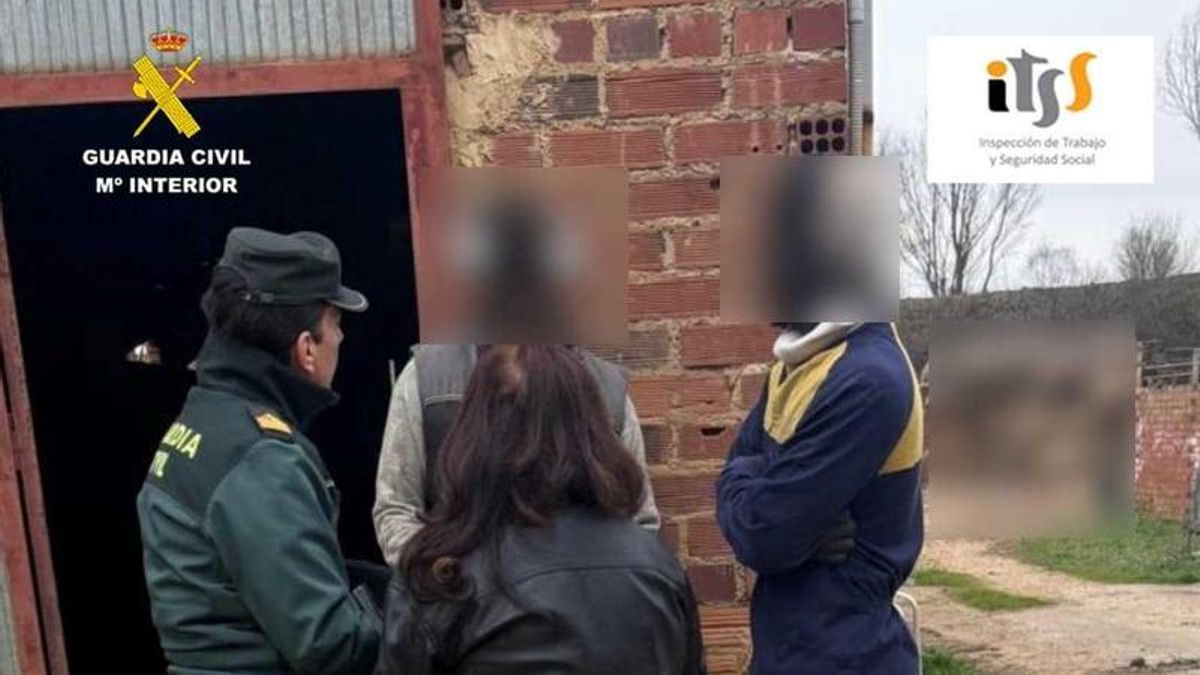 Detienen al dueño de una ganadería de León en la que trabajaban dos hombres de forma irregular