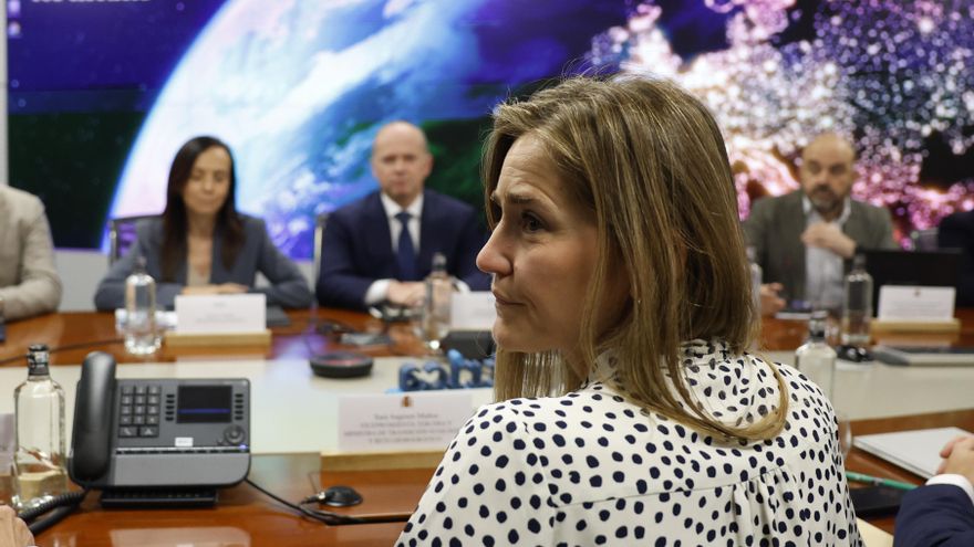 La vicepresidenta tercera del Gobierno y ministra para la Transición Ecológica y el Reto Demográfico, Sara Aagesen (de espaldas), preside la segunda reunión del Comité creado por el Gobierno para el análisis del apagón eléctrico del 28 de abril, este sábado en Madrid. EFE/Juan Carlos Hidalgo