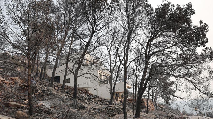 Terreno quemado junto a una vivienda en la urbanización Residencial Santa Bárbara, en La Vilavella.