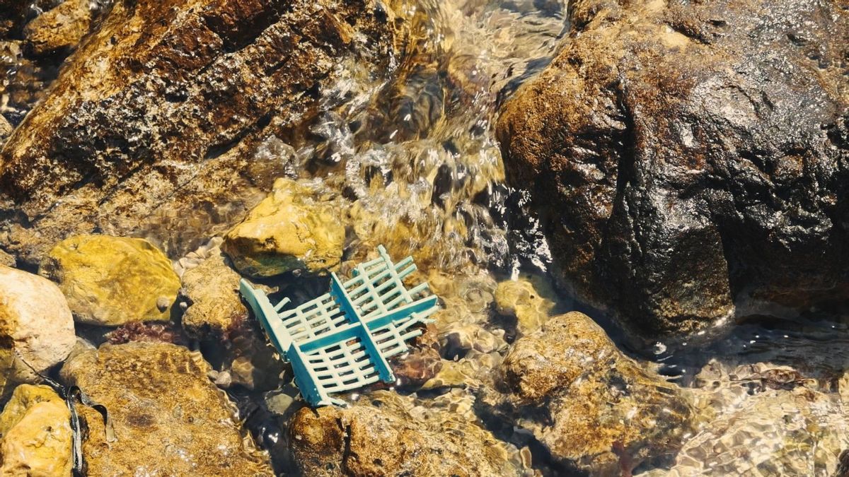 Los plásticos en los ecosistemas marinos pueden derivar en problemas en la fauna como la ingesta o las heridas por los enmallamientos.