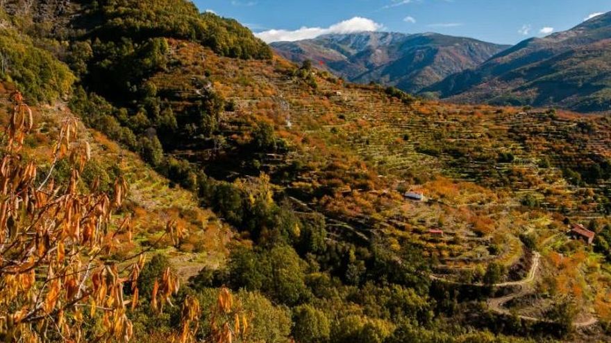 El Valle del Jerte apuesta por sacar partido al otoño como reclamo turístico