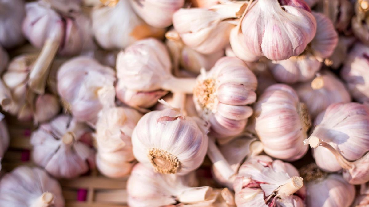 El Anteproyecto de Ley de Calidad Agroalimentaria de Castilla-La Mancha, a información pública durante 20 días