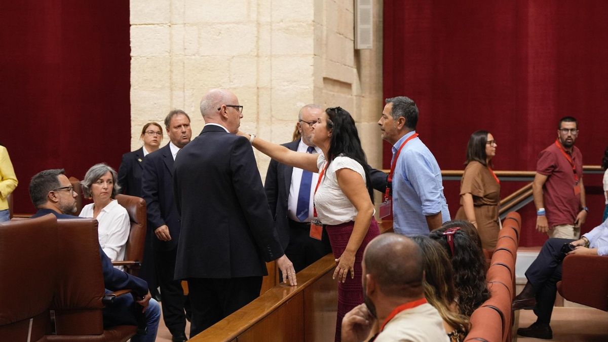 Momento en el que madres y padres de alumnos del CEIP El Colorado de Conil (Cádiz) son expulsados del Pleno este jueves al grito de "qué vergüenza".