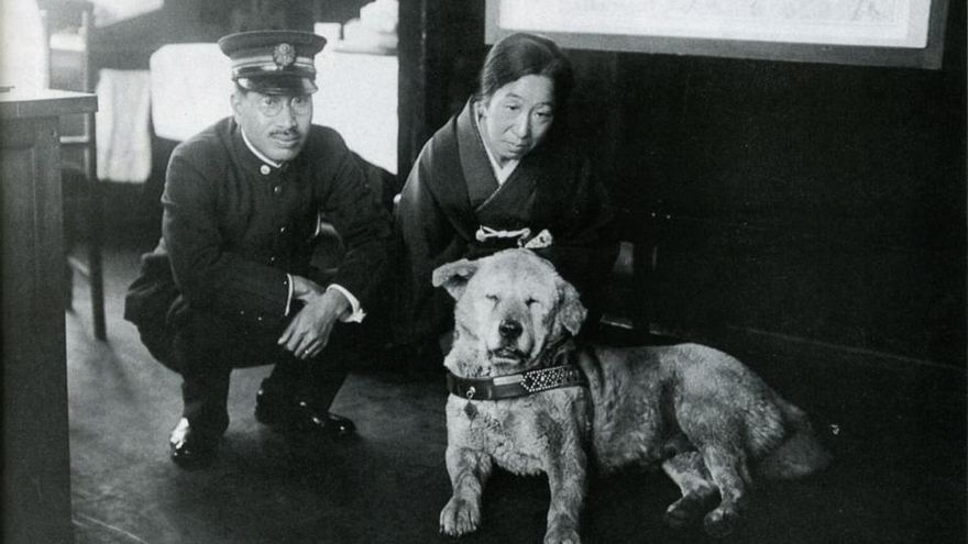 Una película y hasta una estatua en su honor: este perro se convirtió en todo un símbolo en Japón y sigue atrayendo turistas
