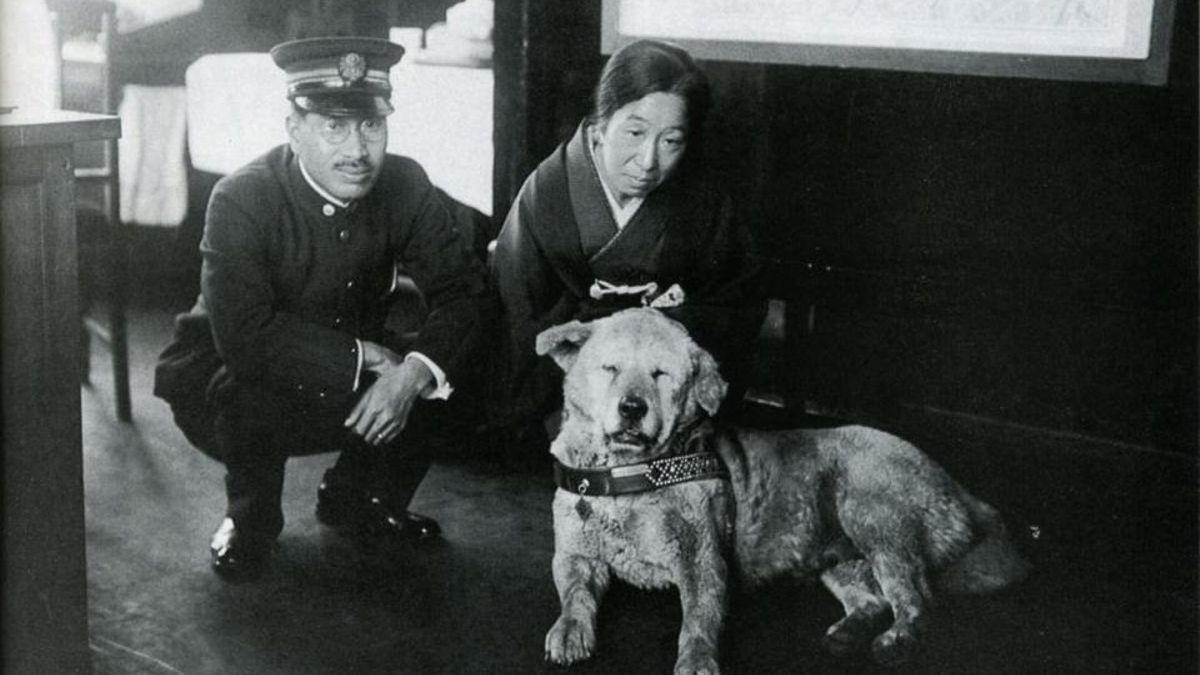 Una película y hasta una estatua en su honor: este perro se convirtió en todo un símbolo en Japón y sigue atrayendo turistas