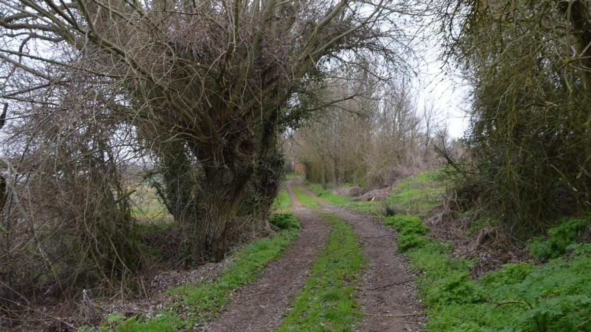 Ruta de senderismo denominada 'Las huertas de los monjes' en Sahagún. 