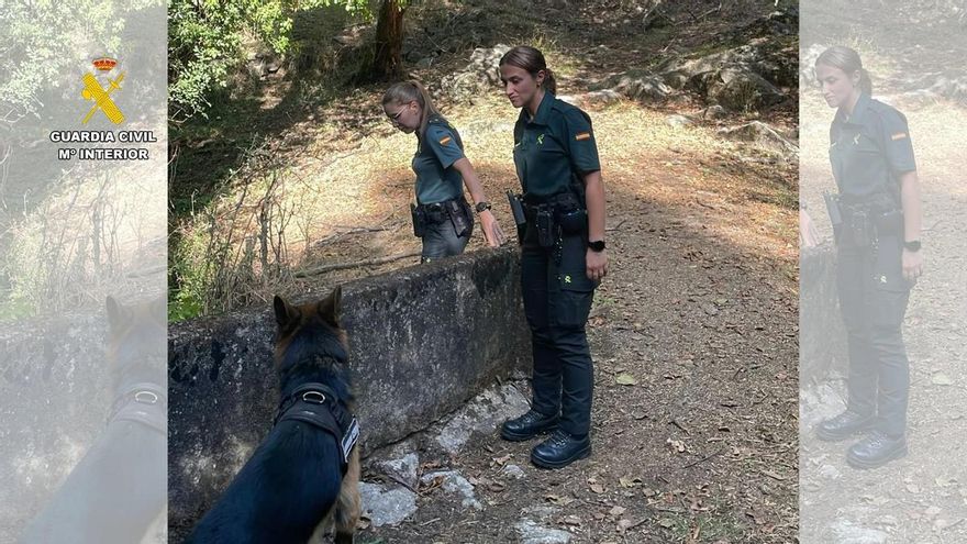 La Guardia Civil mantiene por octavo día la búsqueda de Salvador, desaparecido en Losar de la Vera