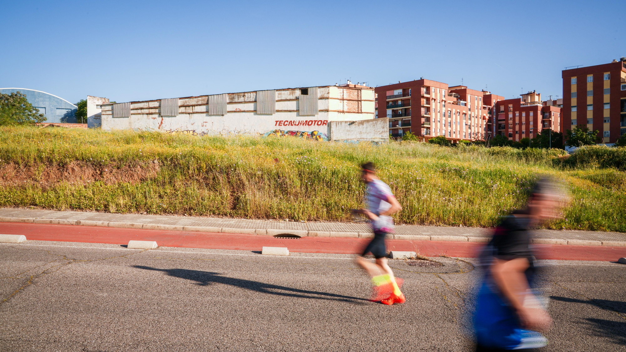 37° CP 10K Los Califas