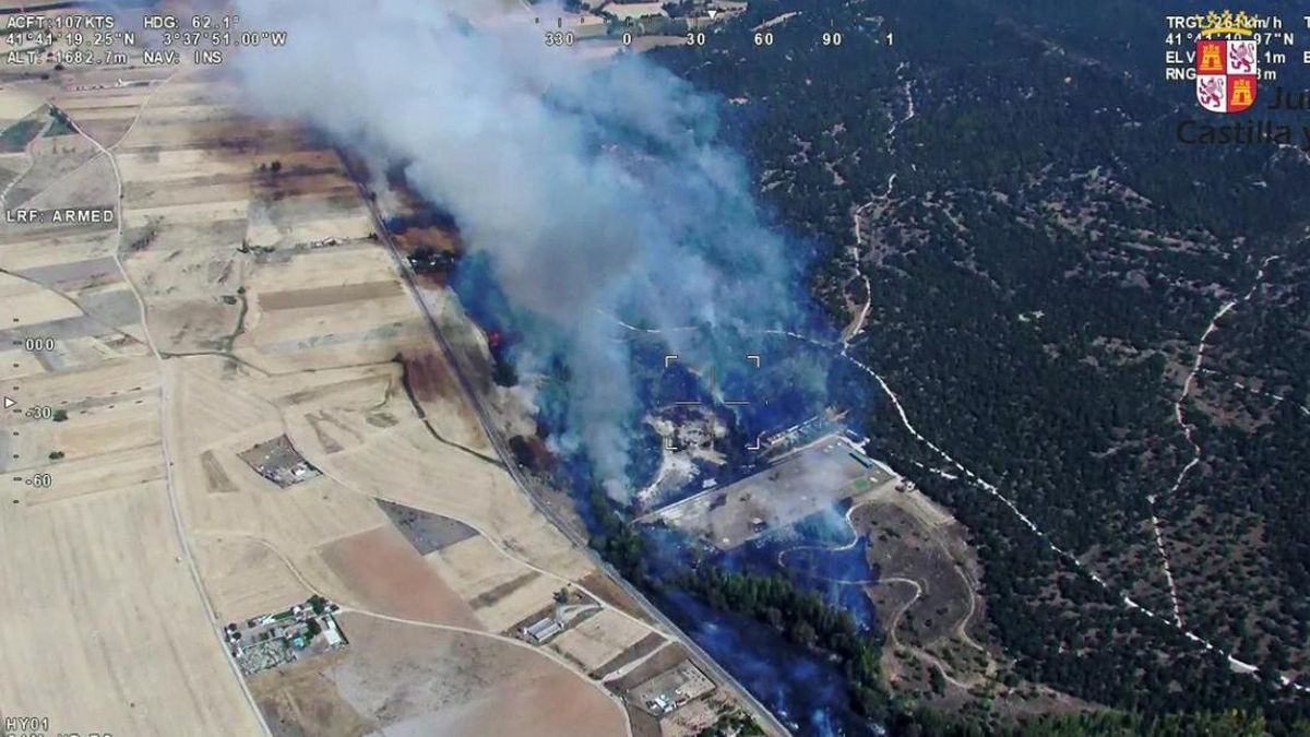 La zona boscosa de pinos y encina donde se declaró el incendio, cerca de Aranda de Duero.