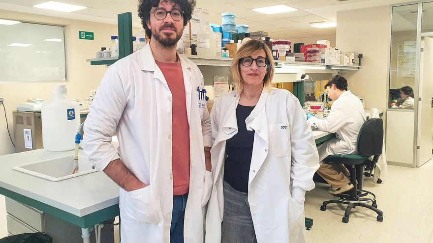 Científicos UC diseñan un tratamiento nuevo para intentar frenar la osteoporosis