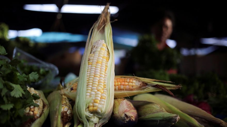 Maíz a la venta en un puesto de un mercado, en una fotografía de archivo. EFE/Gustavo Amador