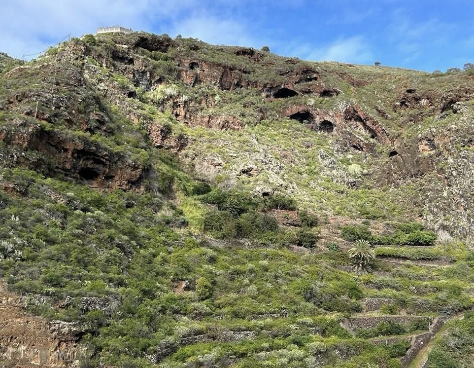 Asentamiento en cuevas en el Topo del Hoyo (Montaña La Centinela. Oropesa) y laderas del barranco abancaladas. (Foto: Jorge Pais Pais)