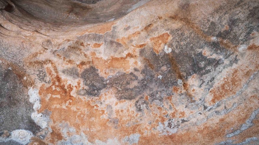 Cabra y caballo pintados de la cueva del Reno