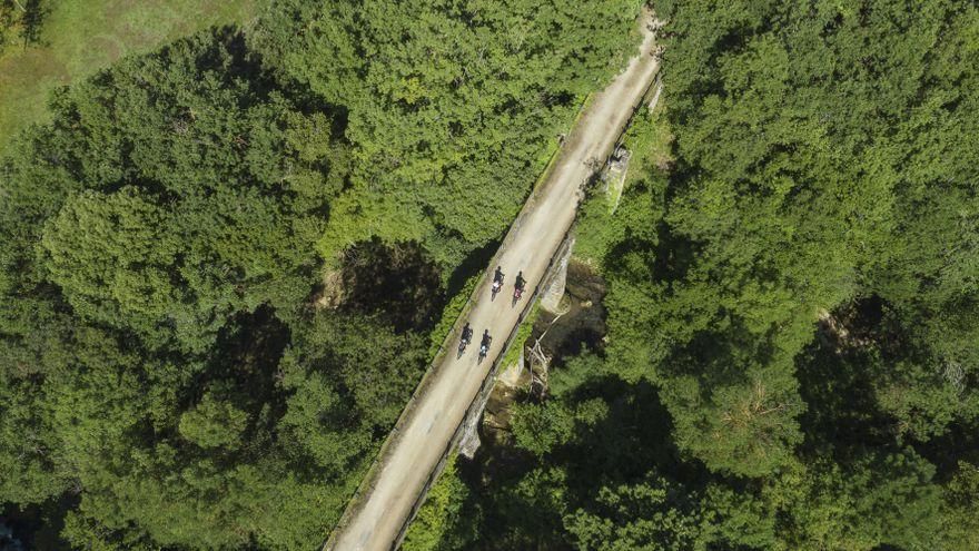 La semana en Euskadi, en imágenes