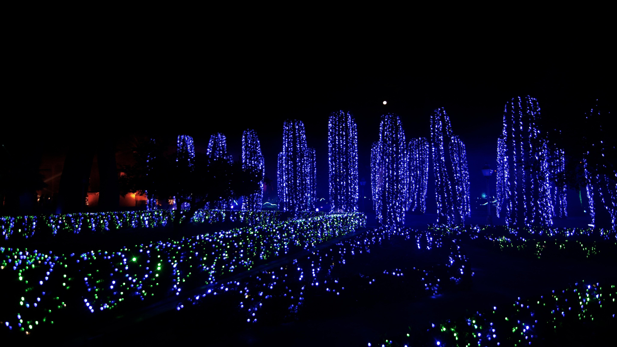Nuevo espectáculo de Naturaleza Encendida en el Alcázar