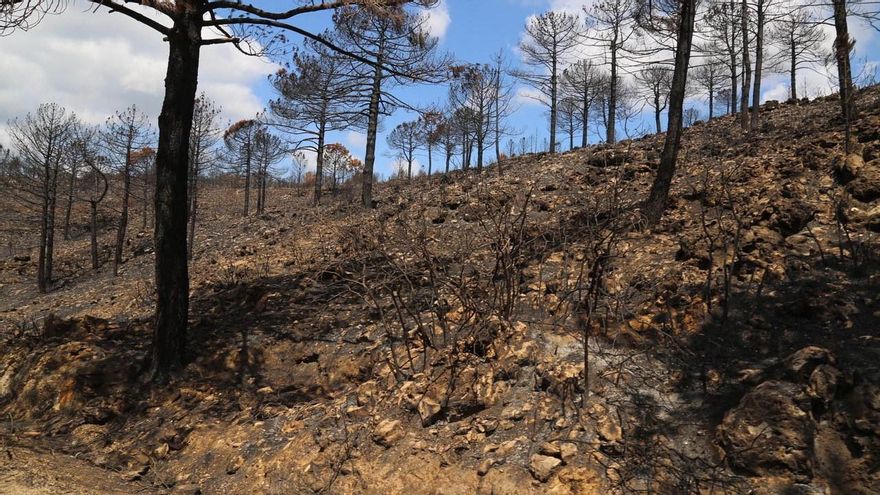 Firelinks, un programa europeo con acento valenciano para frenar los grandes incendios forestales