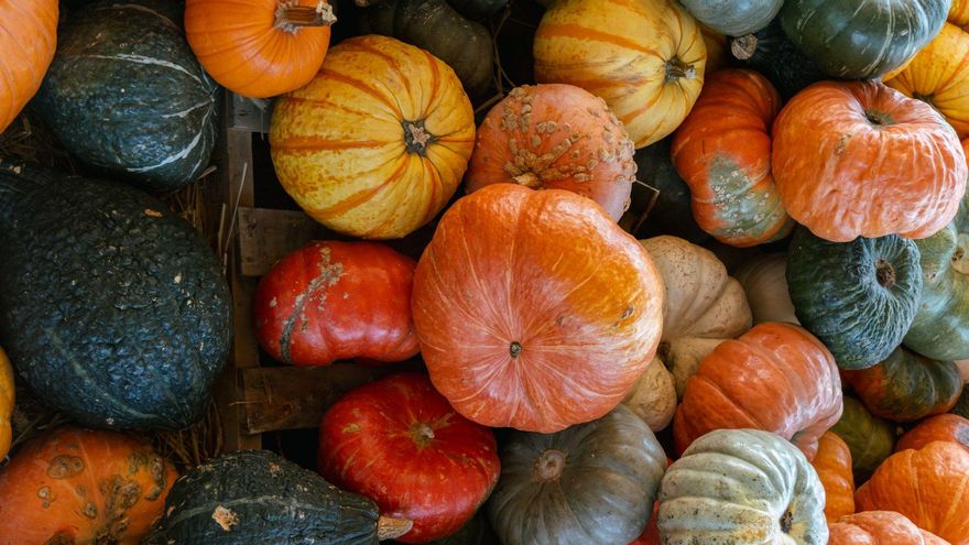 Butternut, delicata o kabocha: cómo distinguir los tipos de calabaza y cómo cocinar cada una de ellas