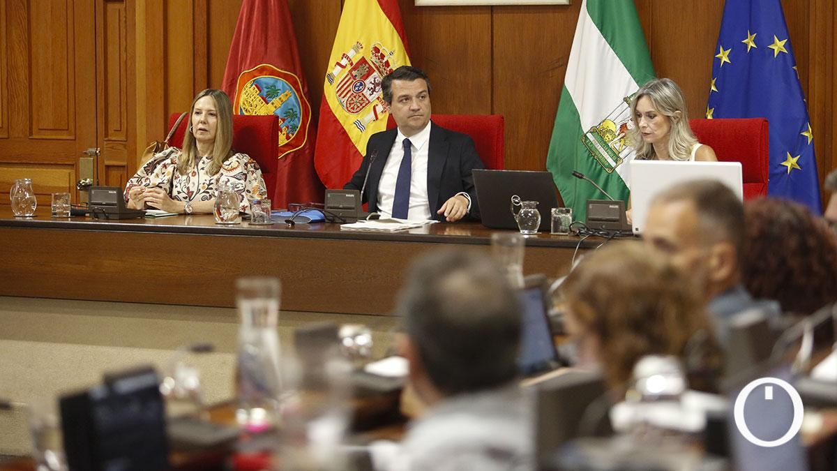 El PP tumba una moción que buscaba implementar mejoras en el Alcázar de Córdoba