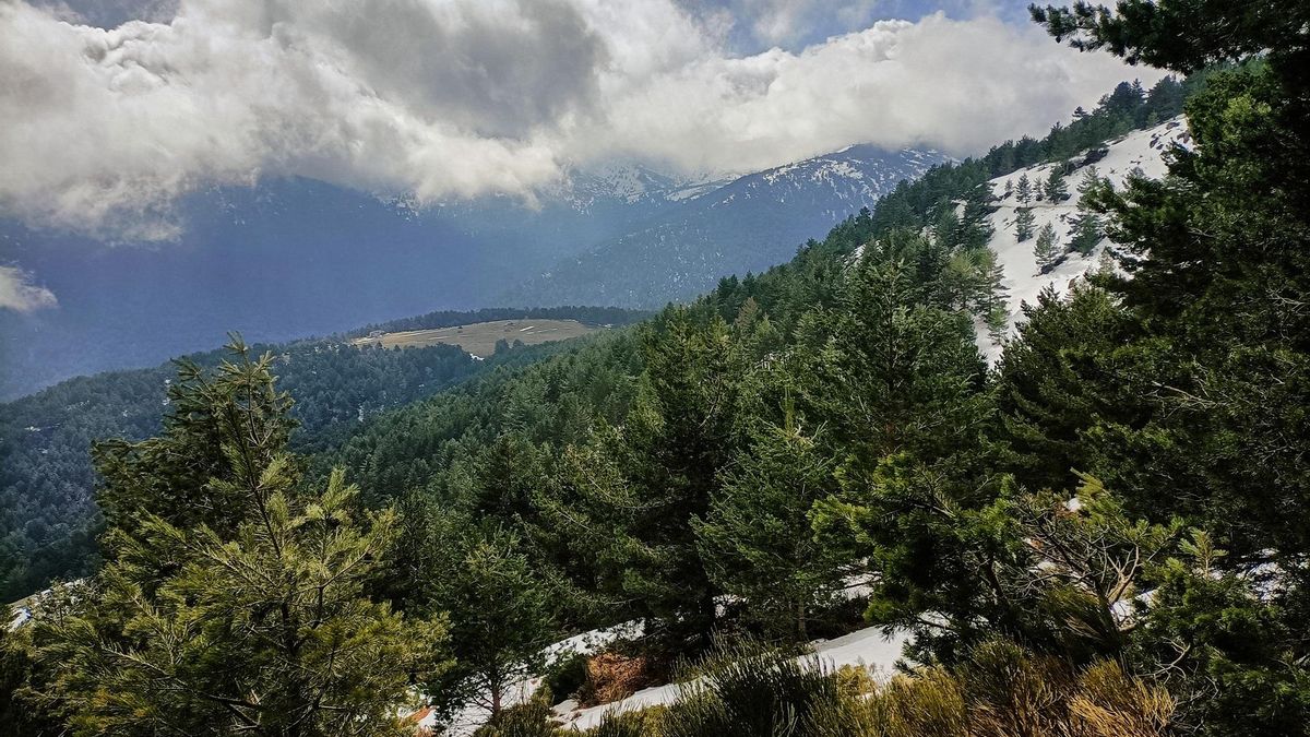 Calima y aviso amarillo por lluvias en la Sierra: tiempo este miércoles en Madrid