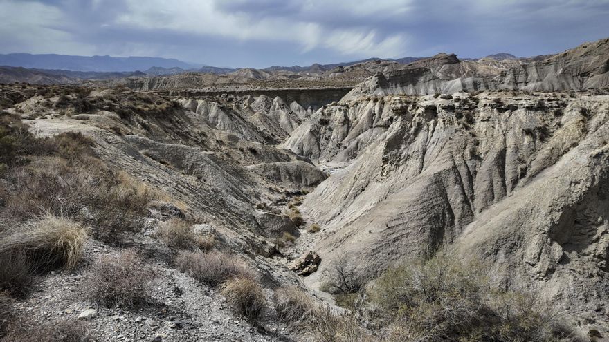 Sobreexplotación del agua y cambio climático impulsan la desertificación en España