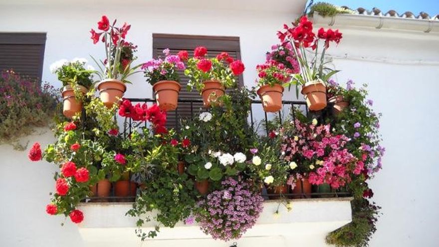 Cuatro modelos de macetas para celebrar la primavera en nuestro balcón