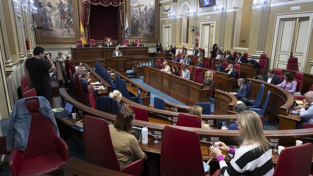 Día histórico en el Parlamento canario al aprobar la obligación de instalar camas elevables en complejos turísticos: "Es de justicia"