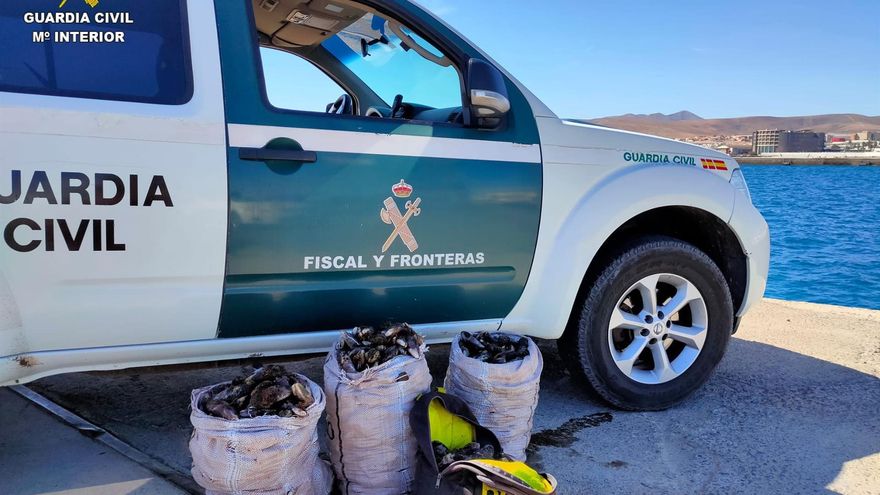 Denunciados tres mariscadores furtivos en Fuerteventura con 135 kilos de mejillón canario