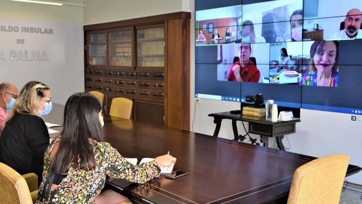 Reunión telemática de la Fecai.