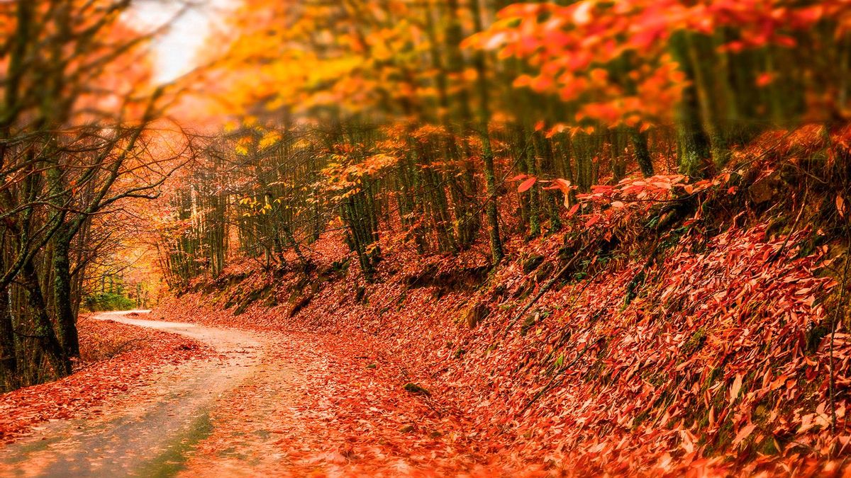 El rincón de Extremadura donde encontrarás una de las escenas más bonitas del otoño
