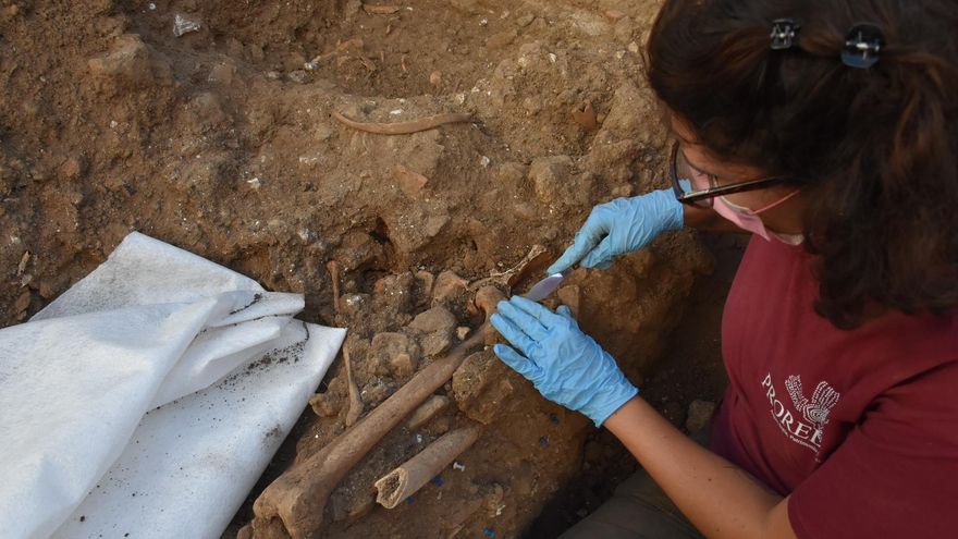 Hallan un nuevo yacimiento con 15 grabados rupestres en la provincia de Huelva