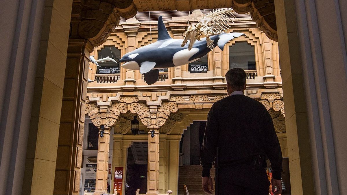 Archivo - Museo Casa de la Ciencia de Sevilla