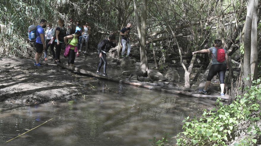La presión humana desborda parajes naturales en Gran Canaria y pone en riesgo a especies endémicas