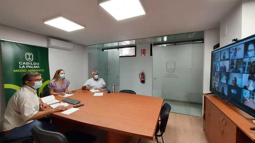 Un equipo de expertos trabaja con el Cabildo en el diseño de la Estrategia de Educación Ambiental de La Palma