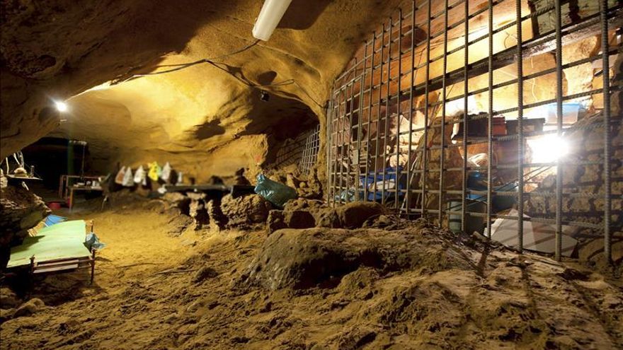 Altamira acoge una muestra sobre los neandertales de la cueva de El Sidrón